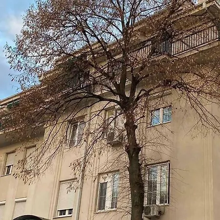 Apartman Elena Dedinje